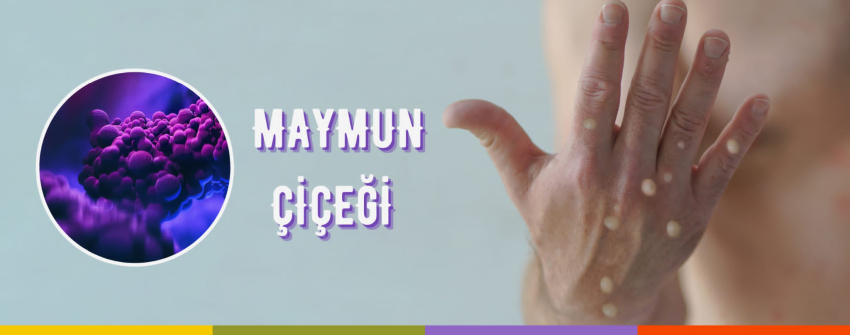 Blog Single